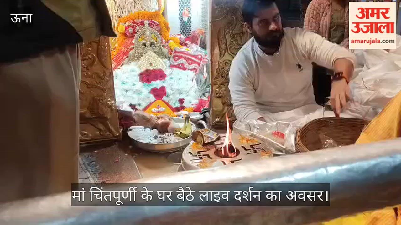 maa chintpurni live darshan friday online