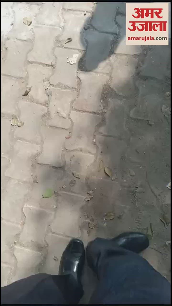 VIDEO : वृंदावन में पुलिसकर्मी ने की ऐसी हरकत, फिर महिला का गुस्सा देख छूटे पसीने