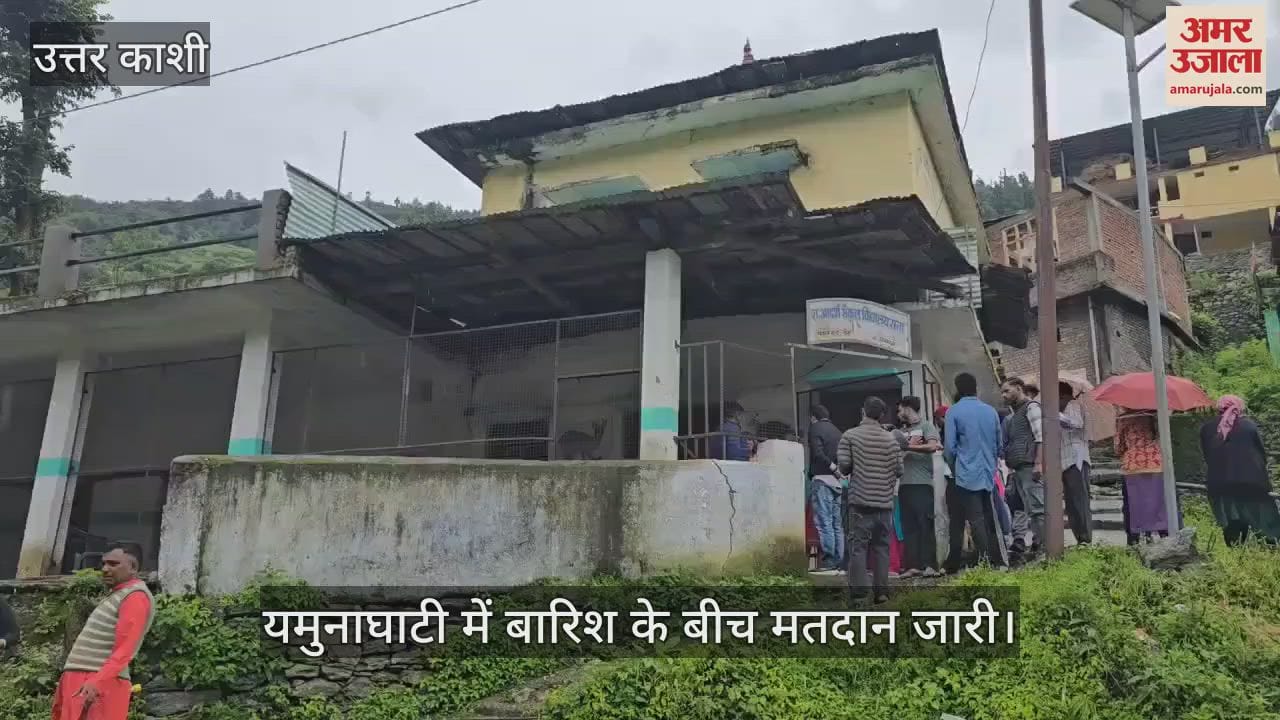 Panchayat Election: Voting continues amidst rain in Yamuna Valley, queues at booths in Naugaon, Purola and Mori