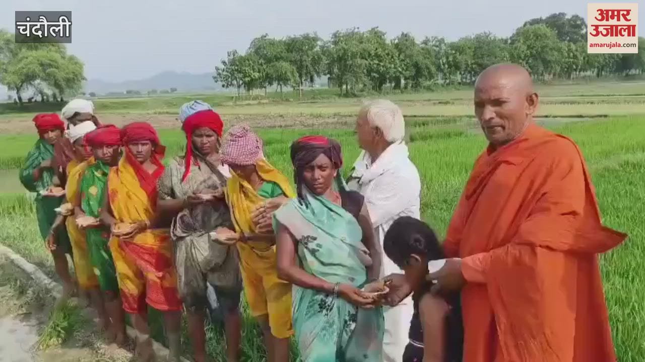 Flowers rained on women planting paddy Seva Sansthan encouraged them