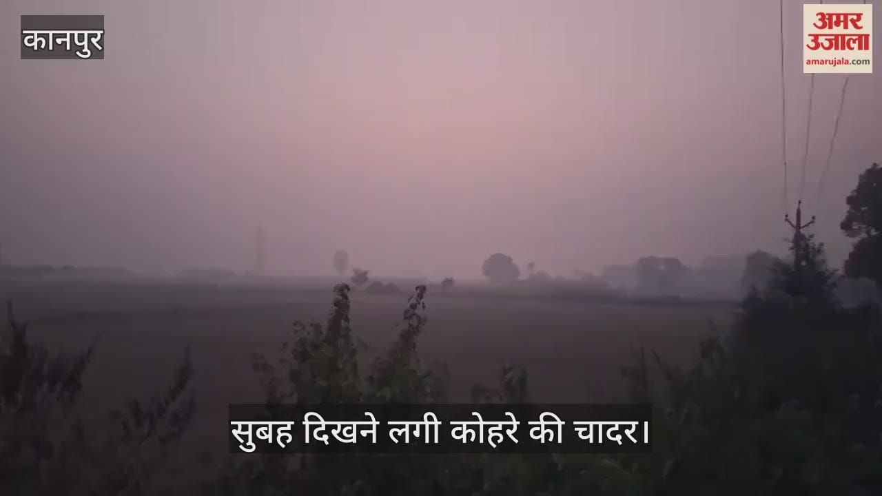 कानपुर: आधा नवंबर बीतते ही छाने लगी कोहरे की चादर, रात में तेजी से गिर रहा है तापमान