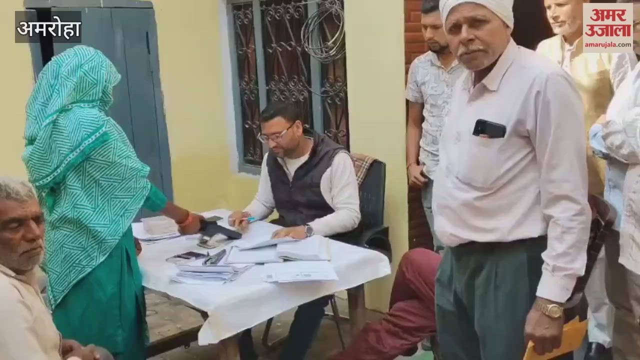 Due to the lack of DAP, farmers are making do with NPK