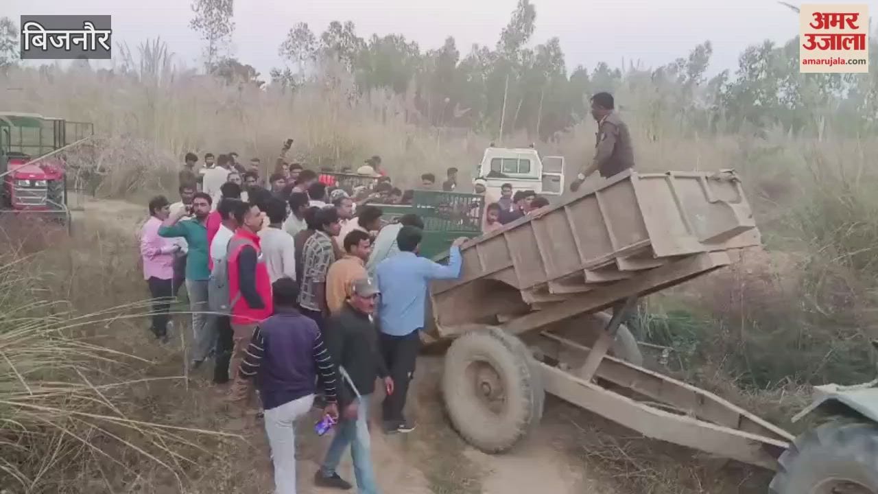 Bijnor: After 13 days, the tiger was captured in the forest department's cage; the search was being conducted with a drone
