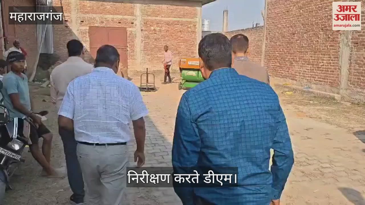 No paddy purchase was found during the DM's inspection.