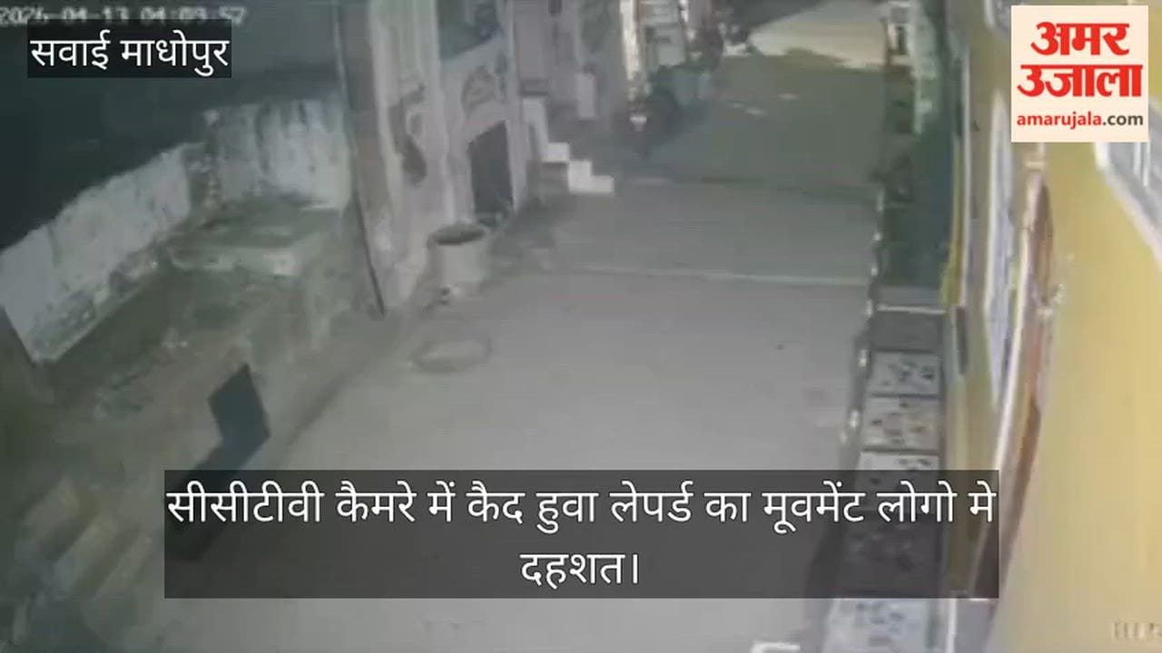 Leopard's movement captured on CCTV camera, panic grips people