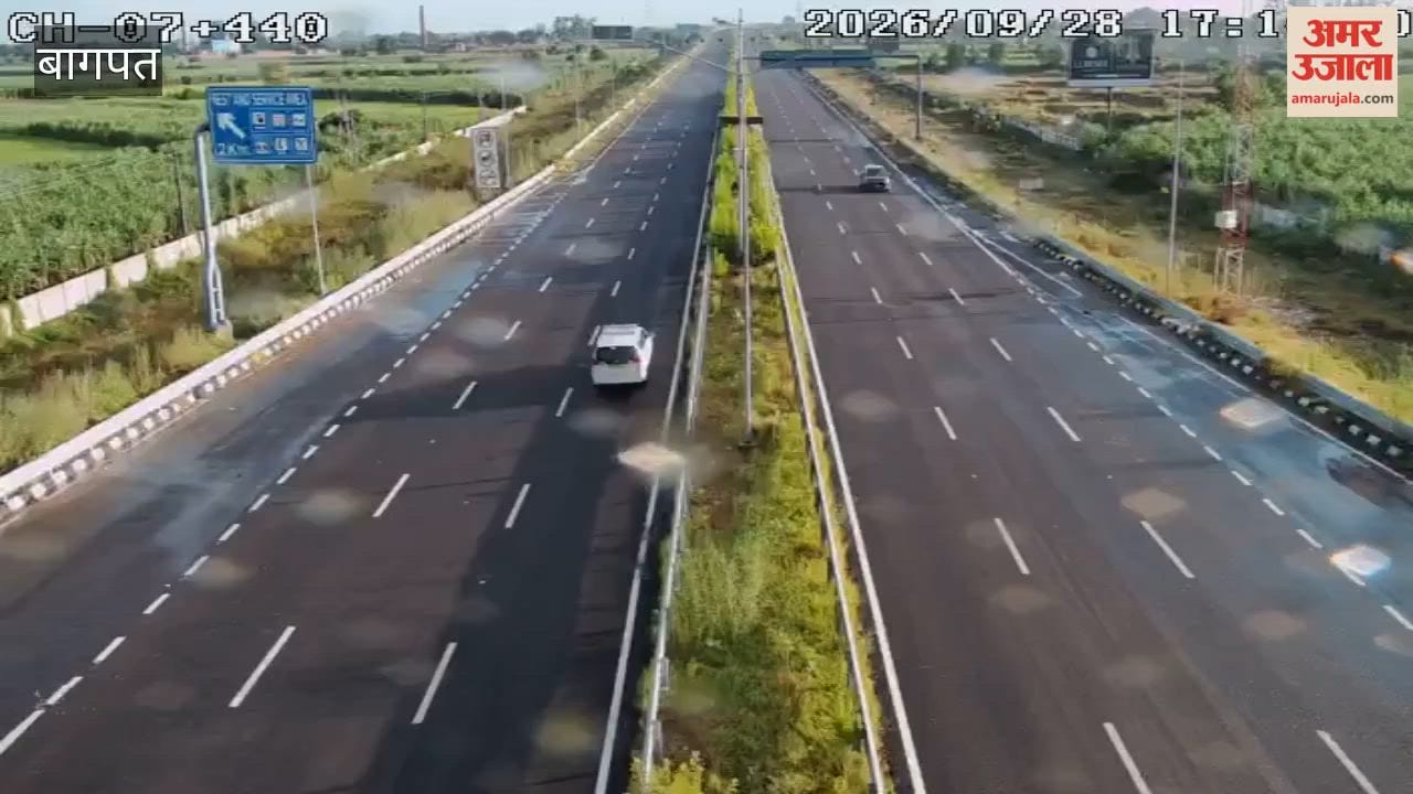 Man Seen Uprooting Plant from Delhi-Dehradun Economic Corridor, CCTV Video Goes Viral