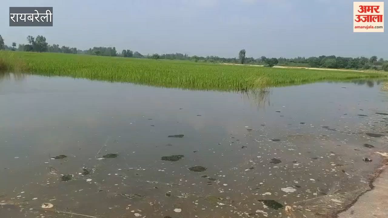 रायबरेली के बछरावां क्षेत्र में सई नदी में उफान से जनजीवन अस्त व्यस्त, उन्नाव का संपर्क टूटा