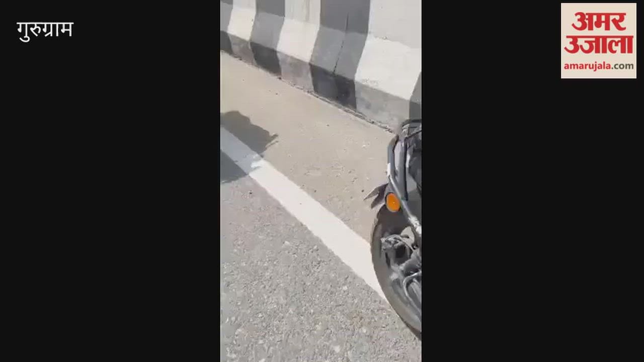 Video Moving car turns into fireball on Gurugram Sohna Elevated Highway
