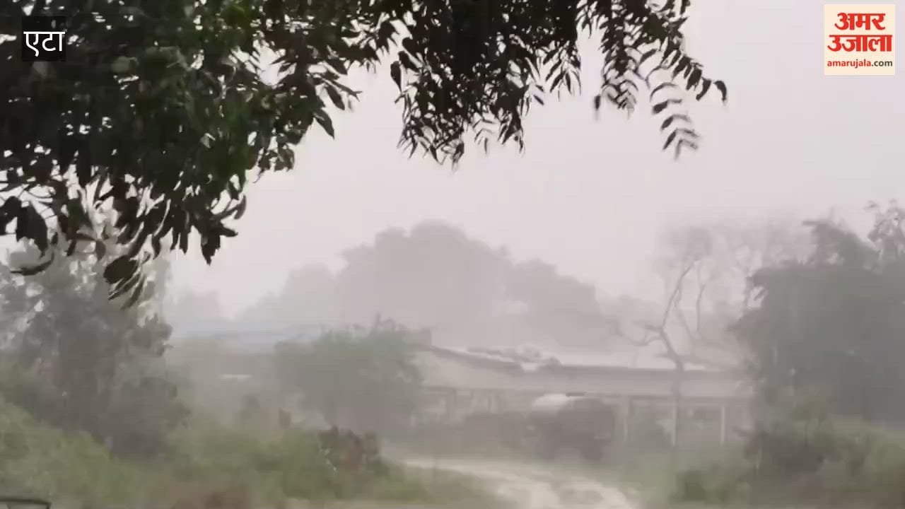 Etah Weather: Strong Winds, Heavy Rain and Hail Damage Crops in Mirhachi
